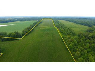 TRACT 16 - ILLINOIS LAND AUCTION - 4,810+/- ACRES OFFERED IN 85 TRACTS IN FRANKLIN, WILLIAMSON, HAMILTON & SALINE COUNTIES, ILLINOIS